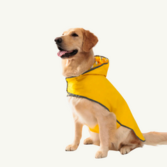 Double-sided raincoat for dogs 00136 photo