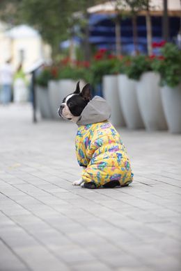 Комбінезон для собак WAUDOG Clothes малюнок "Рік та Морті 3", S32, В 47-50 см, С 30-33 см 5432-0282 - онлайн-зоомагазин Хвіст і Дракон