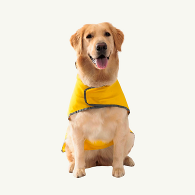 Double-sided raincoat for dogs 00136 photo