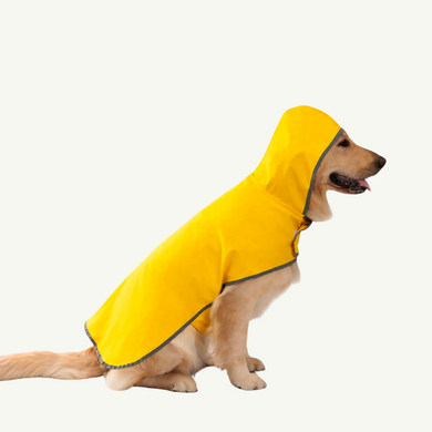 Double-sided raincoat for dogs 00136 photo