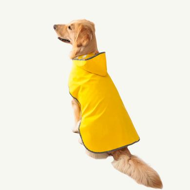 Double-sided raincoat for dogs 00136 photo