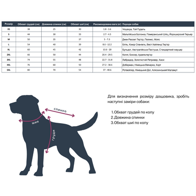 Double-sided raincoat for dogs 00136 photo