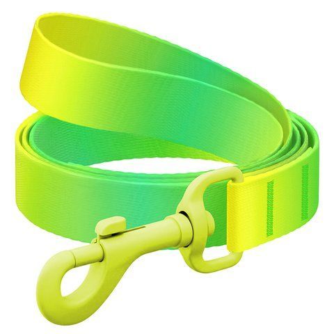 Повідець для собак з нейлону WAUDOG Nylon Recycled, градієнт, кольоровий карабін, L-XXL, Ш 25 мм, Д 200 cм, салатовий 47285 - онлайн-зоомагазин Хвіст і Дракон