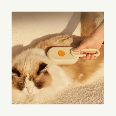 Steam brush massager for combing cats and dogs 00184 photo