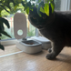 Automatic feeder for pets 00185 photo 6