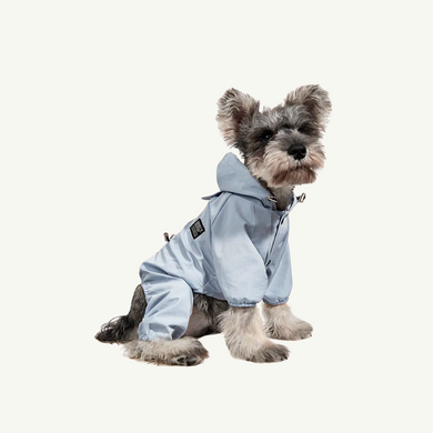 Raincoat for small and medium-sized dogs 00187 photo