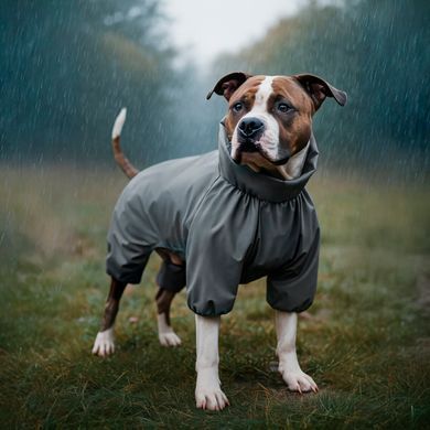 Дощовик для собак WAUDOG Clothes, водонепроникний, XS30, В 43-45 см, С 27-30 см, сірий 198211 - онлайн-зоомагазин Хвіст і Дракон