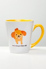 Maltipoo Cup 00054 photo