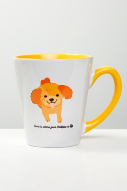 Maltipoo Cup 00054 photo