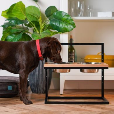 Миски на підставці для собак з регульованою висотою Lift Natural Wood + Black Medium 3300164 - онлайн-зоомагазин Хвіст і Дракон