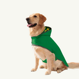 Double-sided raincoat for dogs 00144 photo