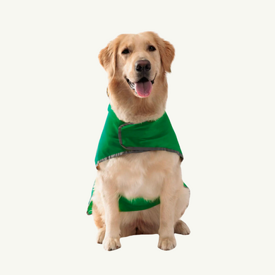 Double-sided raincoat for dogs 00146 photo