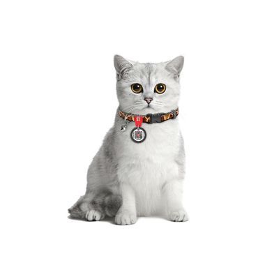 Нашийник для котів нейлоновий WAUCAT Nylon з QR паспортом, малюнок "Жираф", пластиковий фастекс, XS, Ш 10 мм, Дов 20-30 см 279-0053 - онлайн-зоомагазин Хвіст і Дракон