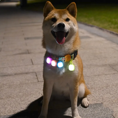 Flashlight for collar - round 00106 photo