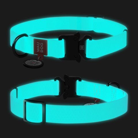 Нашийник для собак водостійкий WAUDOG Waterproof c QR паспортом, світонакоплювальний, металічна пряжка-фастекс, Ш 25 мм, Дов 38-58 см 2783 - онлайн-зоомагазин Хвіст і Дракон