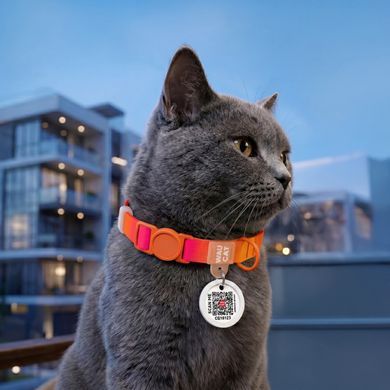 Нашийник для котів нейлоновий WAUCAT Nylon Recycled з QR адресником, градієнт, безпечна пряжка, XS, Ш 10 мм, Дов 20-30 см, помаранчевий 47054 - онлайн-зоомагазин Хвіст і Дракон