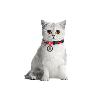 Нашийник для котів нейлоновий WAUCAT Nylon з QR паспортом, малюнок "Леопард рожевий", пластиковий фастекс, XS, Ш 10 мм, Дов 20-30 см 279-0189 - онлайн-зоомагазин Хвіст і Дракон