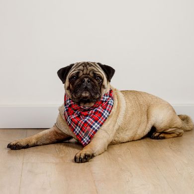 Festive bandana - Happy New Year 00063 photo