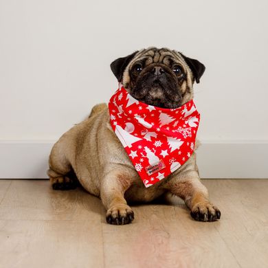 Festive bandana - Magic forest 00064 photo