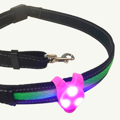 Flashlight for collar 00111 photo