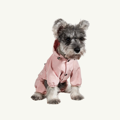 Raincoat for small and medium-sized dogs 00154 photo