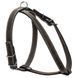 Шлея "CoLLaR" одинарна для малих порід собак (ширина 14мм, А:40-48см, В:43-51см) чорний 06341 - онлайн-зоомагазин Хвіст і Дракон
