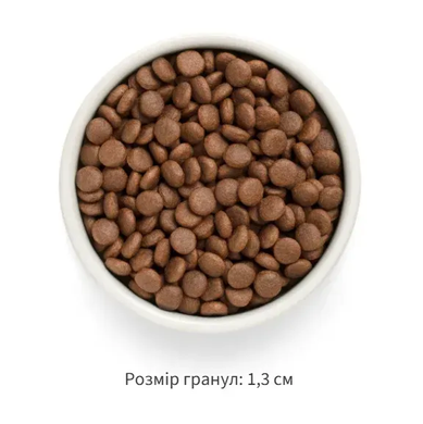 Grandorf FRESH SALMON & SWEET POTATO ADULT DOG MEDIUM & MAXI - Сухий корм для дорослих собак середніх та великих порід з лососем та бататом, 3 кг 94903 - онлайн-зоомагазин Хвіст і Дракон