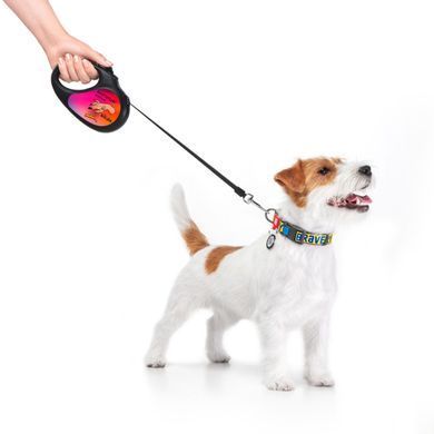 Повідець-рулетка для собак WAUDOG R-leash, малюнок "Конотопські магічні війська", M, до 25 кг, 5 м, світловідбиваюча стрічка чорний 8125-0232-01 - онлайн-зоомагазин Хвіст і Дракон