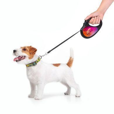 Повідець-рулетка для собак WAUDOG R-leash, малюнок "Конотопські магічні війська", M, до 25 кг, 5 м, світловідбиваюча стрічка чорний 8125-0232-01 - онлайн-зоомагазин Хвіст і Дракон