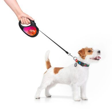 Повідець-рулетка для собак WAUDOG R-leash, малюнок "Конотопські магічні війська", M, до 25 кг, 5 м, світловідбиваюча стрічка чорний 8125-0232-01 - онлайн-зоомагазин Хвіст і Дракон