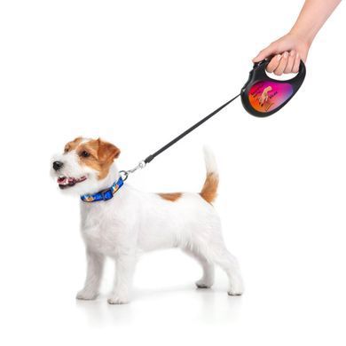 Повідець-рулетка для собак WAUDOG R-leash, малюнок "Конотопські магічні війська", M, до 25 кг, 5 м, світловідбиваюча стрічка чорний 8125-0232-01 - онлайн-зоомагазин Хвіст і Дракон