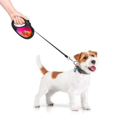 Повідець-рулетка для собак WAUDOG R-leash, малюнок "Конотопські магічні війська", M, до 25 кг, 5 м, світловідбиваюча стрічка чорний 8125-0232-01 - онлайн-зоомагазин Хвіст і Дракон