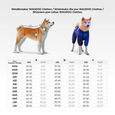 Вітровка для собак WAUDOG Clothes, малюнок "Сміливість", M35, В 59-62 см, С 37-40 см 5336-0231 - онлайн-зоомагазин Хвіст і Дракон