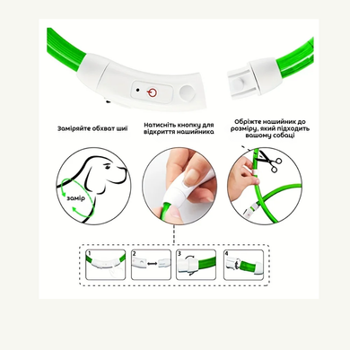 Нашийник, що світиться у темряві M (до 50см) 00206 фото