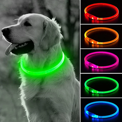 Glow-in-the-dark collar M (up to 50cm) 00206 photo