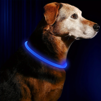 Glow-in-the-dark collar M (up to 50cm) 00206 photo