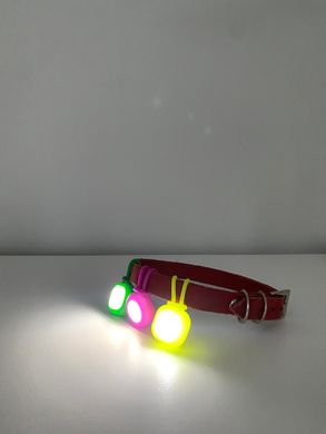 Flashlight for collar - square 00070 photo