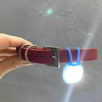 Flashlight for collar - square 00070 photo