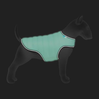 Курточка-накидка для собак AiryVest Lumi, світиться у темряві, L, А 41 см, B 58-70 см, С 42-52 см 5517 - онлайн-зоомагазин Хвіст і Дракон