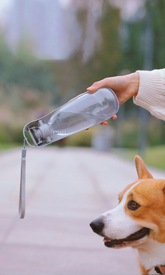 Big water bottle 550 ml 00163 photo