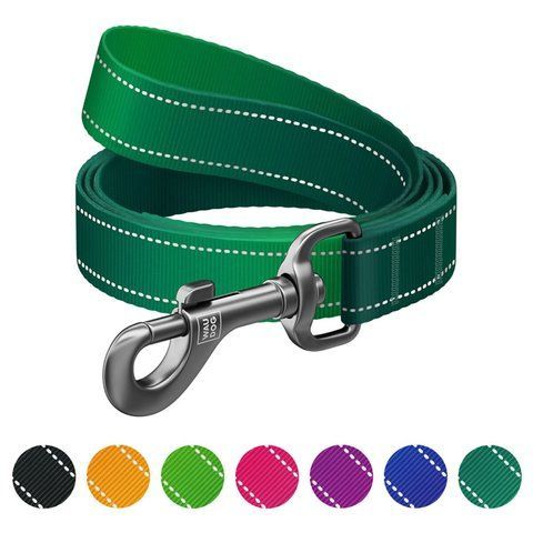 Повідець для собак нейлоновий WAUDOG Nylon Mono, світловідбивний, L-XXL, Ш 25 мм, Дов 122 см зелений 521918 - онлайн-зоомагазин Хвіст і Дракон