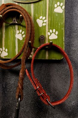 Holder for collar and leash - Home Sweet Home 00076 photo