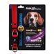 AnimAll АнімАлл ВетЛайн Double Guard комплект нашийник з протипаразитарною стрічкою, 20 мм/320-400 мм, червоний T180791 - онлайн-зоомагазин Хвіст і Дракон