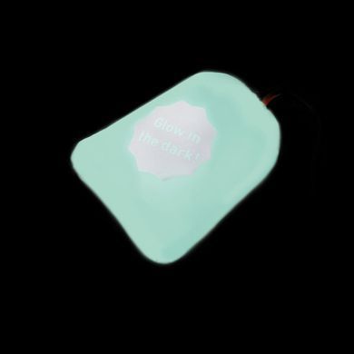 Курточка для собак AiryVest Lumi двостороння, світиться в темряві, розмір M 50, салатово-помаранчева 2288 - онлайн-зоомагазин Хвіст і Дракон