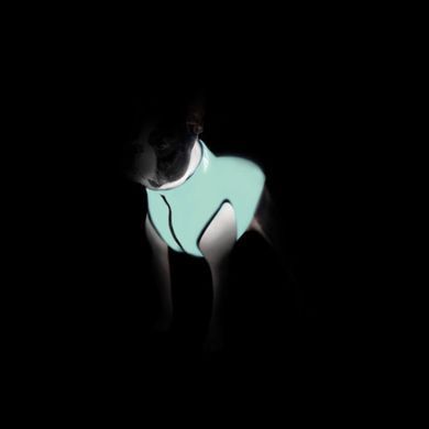 Курточка для собак AiryVest Lumi двостороння, світиться в темряві, розмір M 50, салатово-помаранчева 2288 - онлайн-зоомагазин Хвіст і Дракон