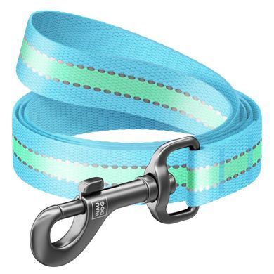Повідець для собак нейлоновий WAUDOG Nylon, світонакоплювальний, Ш 20 мм, Дов 122 см блакитний 45742 - онлайн-зоомагазин Хвіст і Дракон