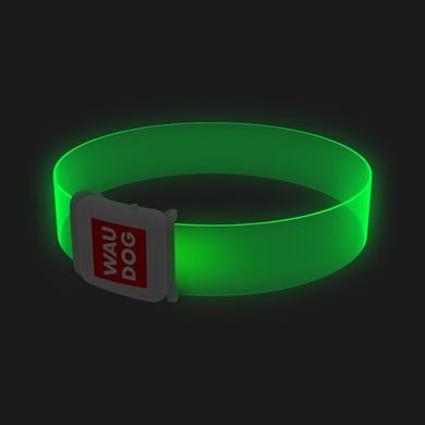 Нашийник для собак з підсвічуванням WAUDOG LED, магнітна застібка, Ш 25 мм, Дов 60 см 5279 - онлайн-зоомагазин Хвіст і Дракон